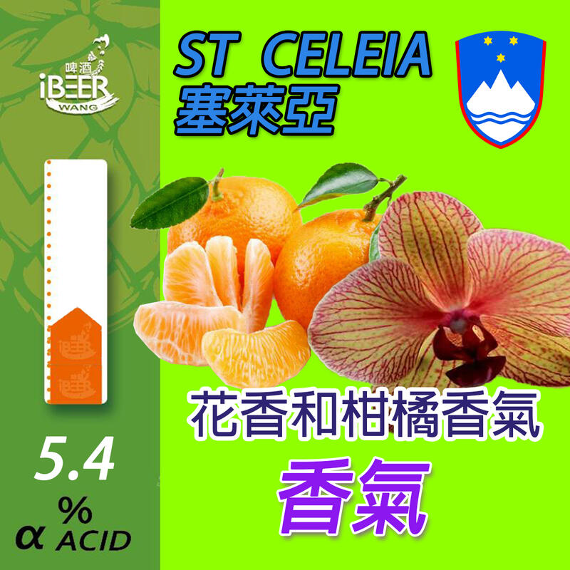 新產品 ST Celeia 塞萊亞啤酒花 斯洛維尼亞1oz Hop 精釀啤酒 啤酒王自釀啤酒原料器材