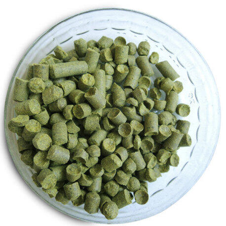 新產品 ST Celeia 塞萊亞啤酒花 斯洛維尼亞1oz Hop 精釀啤酒 啤酒王自釀啤酒原料器材