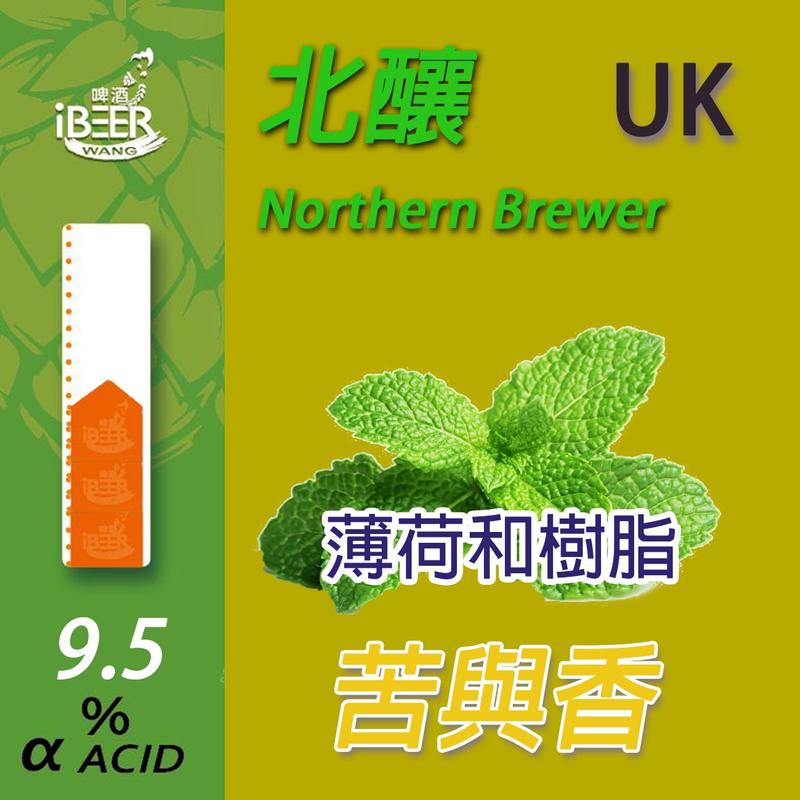 Northern Brewer 北釀 啤酒花 Hops 啤酒王 自釀啤酒原料器材設備