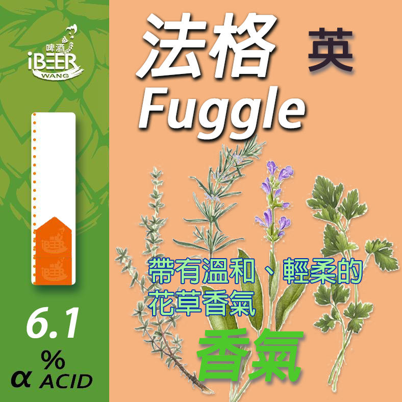 Fuggle 法格 香氣啤酒花 Hop 精釀啤酒 啤酒王1oz 啤酒王自釀啤酒原料器材