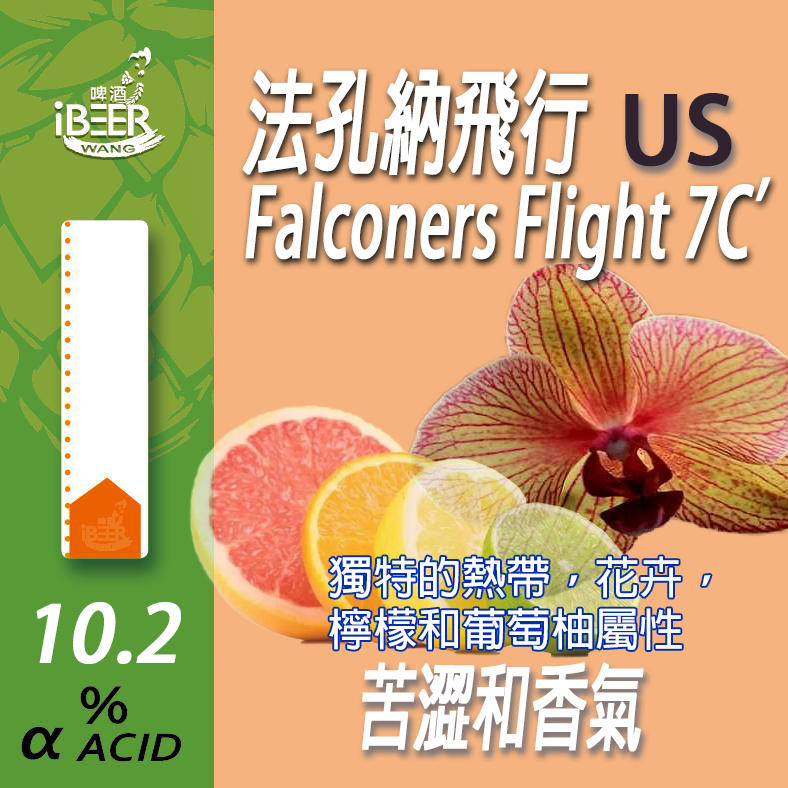  法孔納飛行 Falconers Flight 7C’啤酒花 Hop 精釀啤酒 啤酒王1oz 啤酒王自釀啤酒原料器材