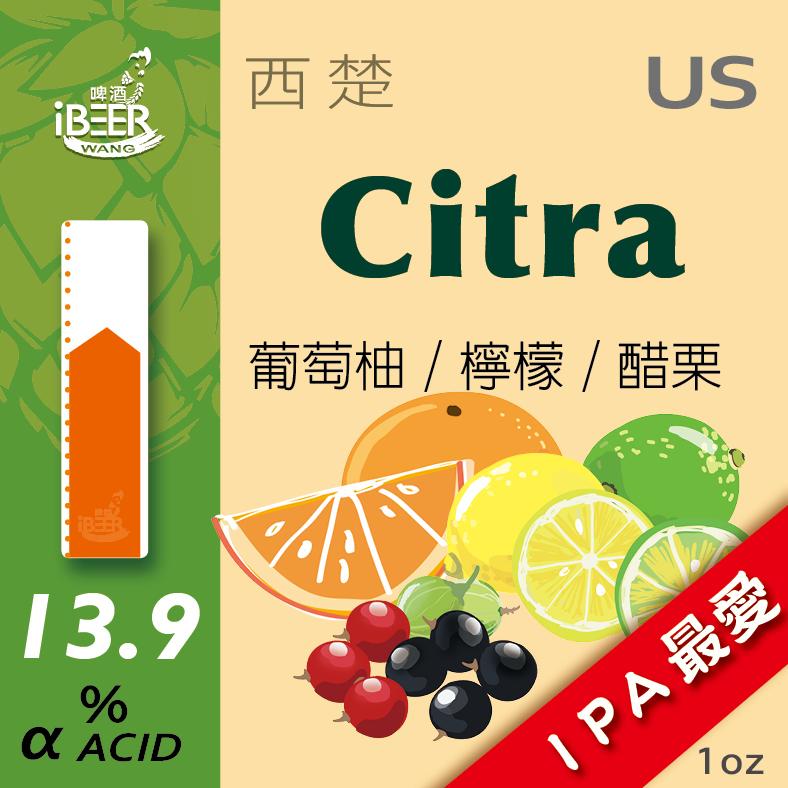 Citra Hop 西楚 啤酒花 自釀啤酒原料器材 啤酒王 台北市