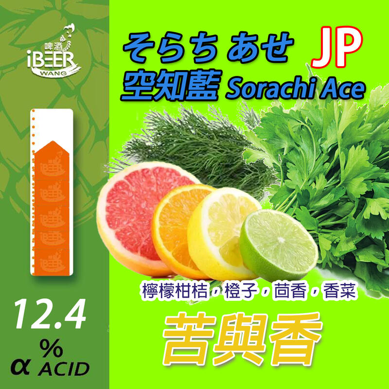 新產品 そらち あせ Sorachi Ace 空知藍啤酒花 日本北海道1oz Hop 精釀啤酒 啤酒王自釀啤酒原料器材  