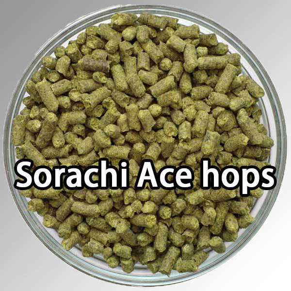 新產品 そらち あせ Sorachi Ace 空知藍啤酒花 日本北海道1oz Hop 精釀啤酒 啤酒王自釀啤酒原料器材  