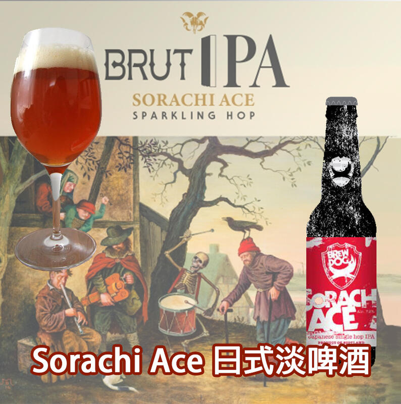 新釀酒套餐 桑尼哥 Sorachi Ace 日式淡啤酒 啤酒王自釀啤酒原料
